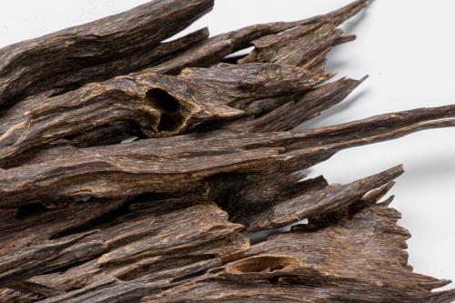 هندي النخبة