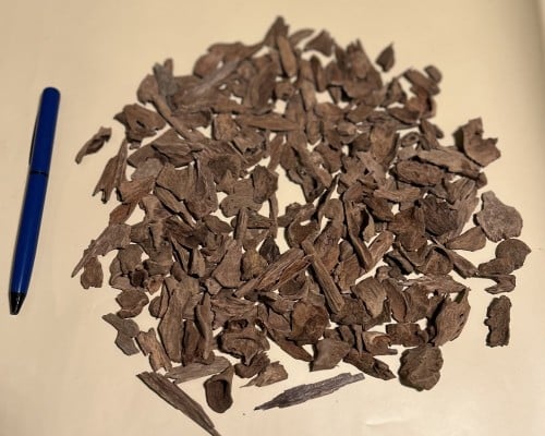 فلبيني دقة طيّبة