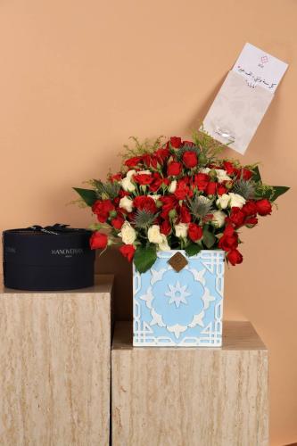 سيرنت سينتس