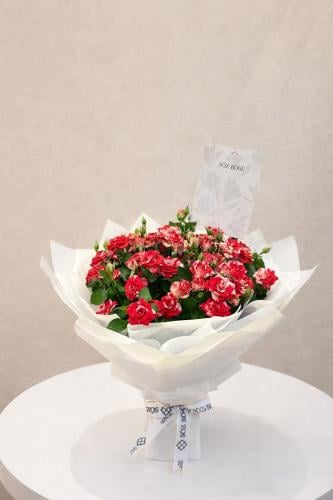 باقة الدبل كلر