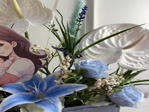 حكاية مولود