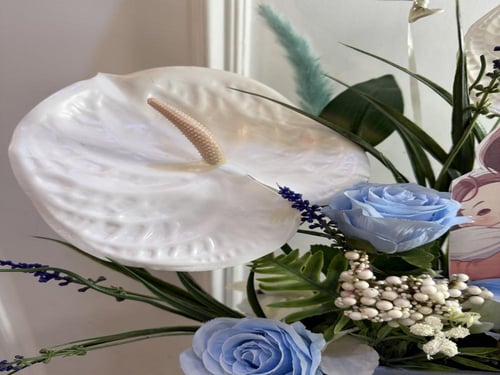 حكاية مولود