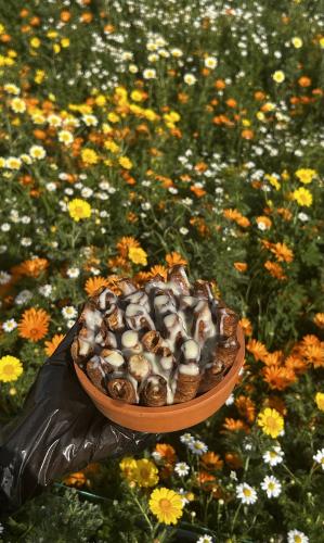 صحن فخار اصابع الجبن بالقرفة