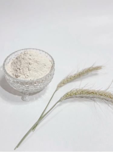 دقيق قمح معيه عضوي