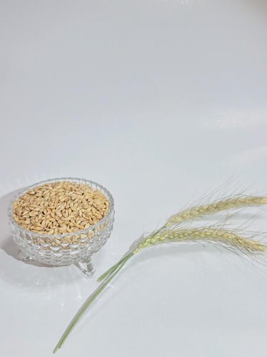 حب شعير عضوي