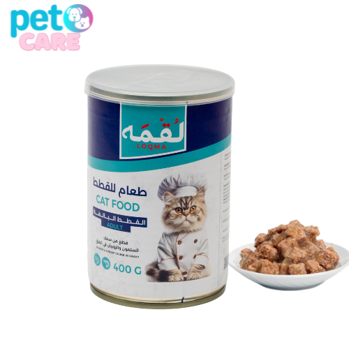 لقمه قطع من سمك السلمون والربيان في المرق للقطط ال...