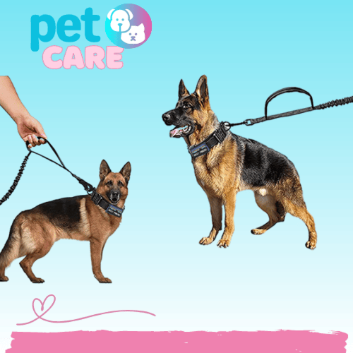 مجموعة اطواق واربطة كلاب تكتيكية مع مقبض سلسلة بنج...