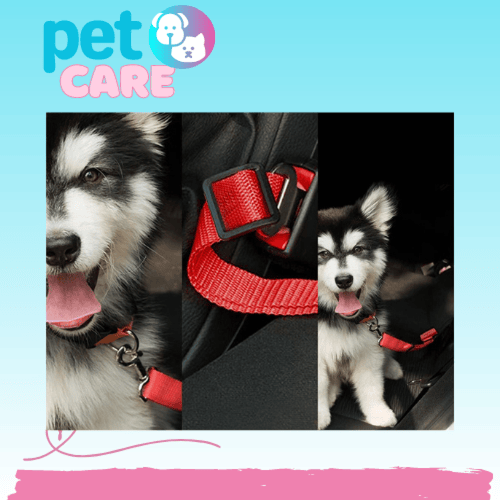 حزام امان لمقعد السيارة للكلاب والحيوانات الاليفة