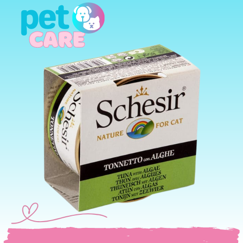 شيزر معلبات التونا مع النباتات البحرية في الجيلي ا...