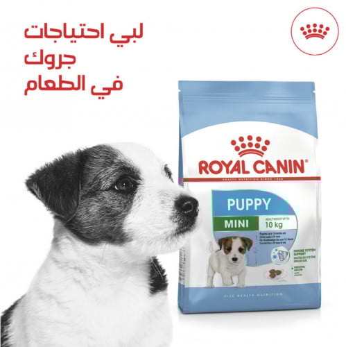 رويال كانين طعام جاف للجراء صغيرة الحجم 4kg