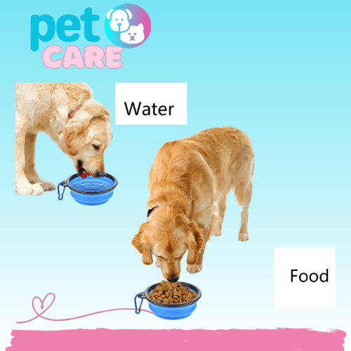 وعاء طعام قابل للطي للحيوانات الاليفة 350 مل