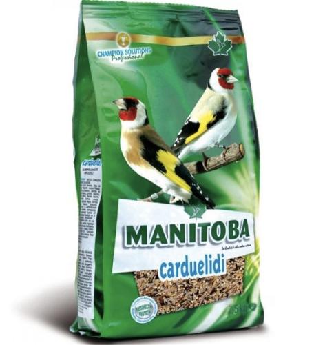 اكل حسون MANITOBA 2.5KG