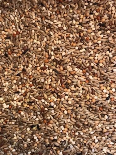 اكل بادجي خلطة علي بروسلي ALI BOURESLI SLAATS 1KG