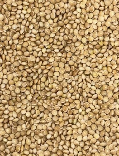 دخن فاتح 1KG تعبئة يدوية W