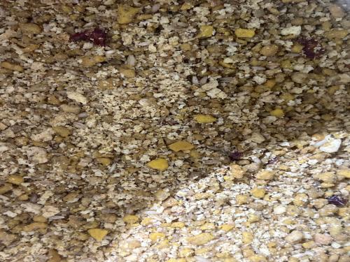 باتية الببغاء MANITOBA parrot 1KG