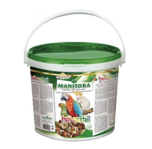 كوكتيل الفاكهة و المكسرات FRUIT DRIED MANITOBA 4KG