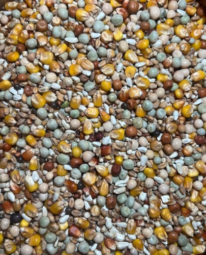 اكل منقوع 1 كيلو بلجيكي تعبئة يدوية