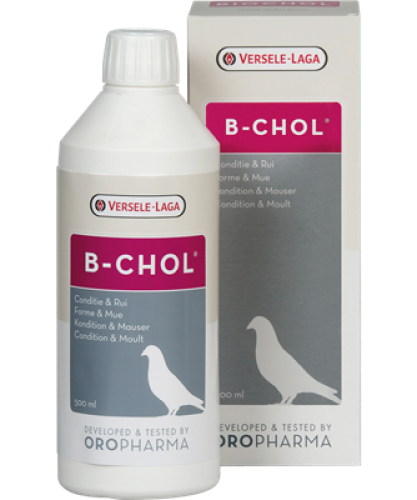 مقوي للكبد بي شول - B-CHOL VERSELE LAGA 500G