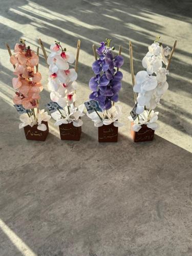 فازة الاوركيد مع قاعده من الخشب