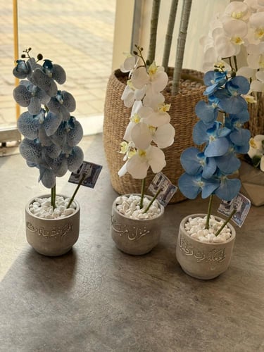 فازة الأسمنت الدائري مع الاوركيد