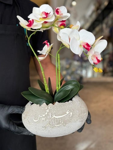 فازة بيضاوية من الاسمنت و رد الاوركيد الفاخر