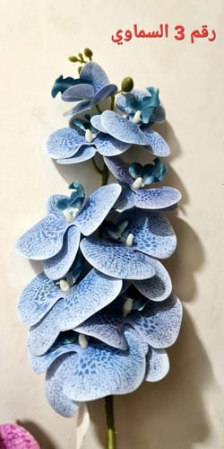 عقد ورد اوركيد