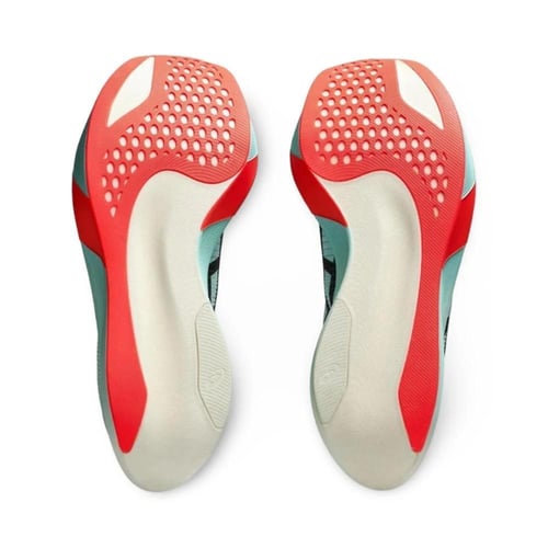 حذاء اسيكس Metaspeed Sky