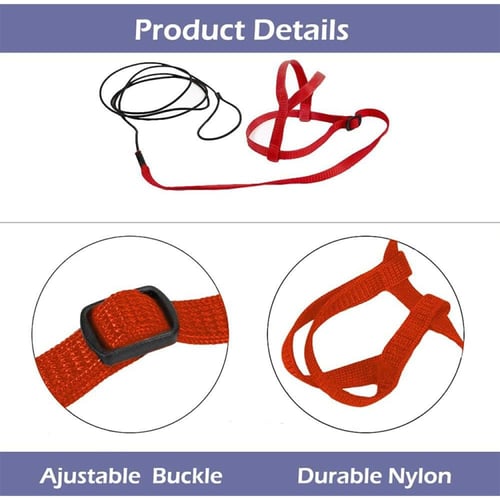 سدارية مع ليش للطيور