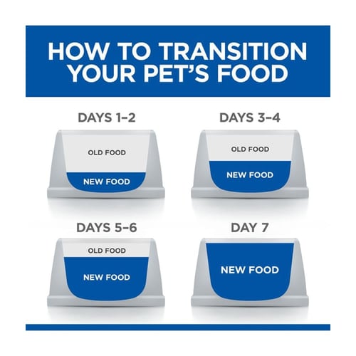 هيلز ساينس دايت طعام رطب للقطط الصغيرة بالدجاج