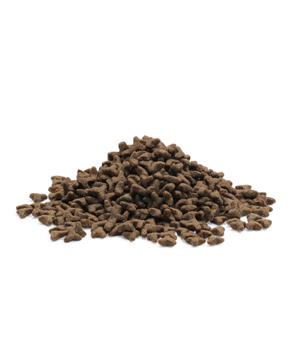 ايسينتشال فودز طعام جاف متكامل للقطط الصغيرة 1.5kg