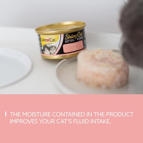 جيم كات معلبات طعام رطب للكيتن بالدجاج في الجيلي 7...