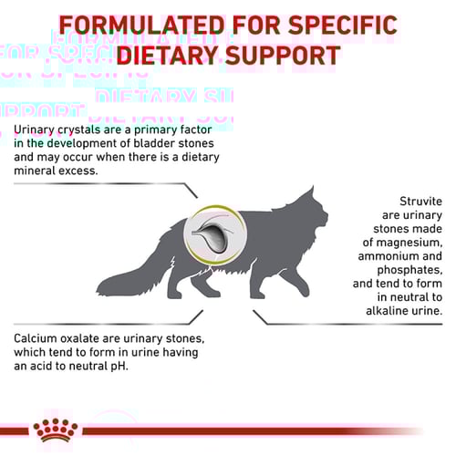 رويال كانين يوريناري اس او طعام جاف للقطط للعناية...