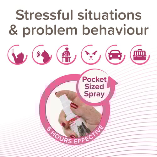 بيفار كات كومفورت بخاخ مهدئ للقطط 30مل