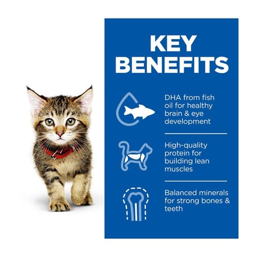 هيلز طعام جاف للقطط الصغيرة بنكهة التونة 1.5 كيلو