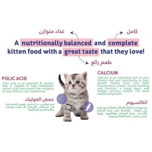 هريرة طعام جاف للقطط الصغيرة بنكهة الدجاج والخضار...