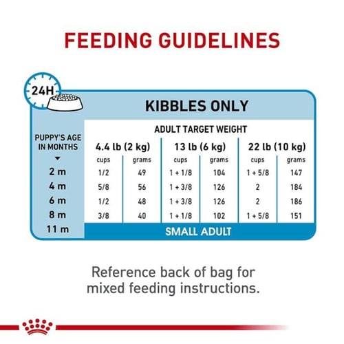 رويال كانين طعام جاف ميني بوبي للجراء الصغيرة