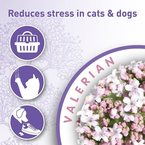 بيفار بخاخ لتهدئة القطط والكلاب بخلاصة حشيشة الهر...