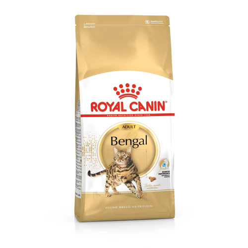 رويال كانين طعام جاف للقطط البالغة البنغال 2kg