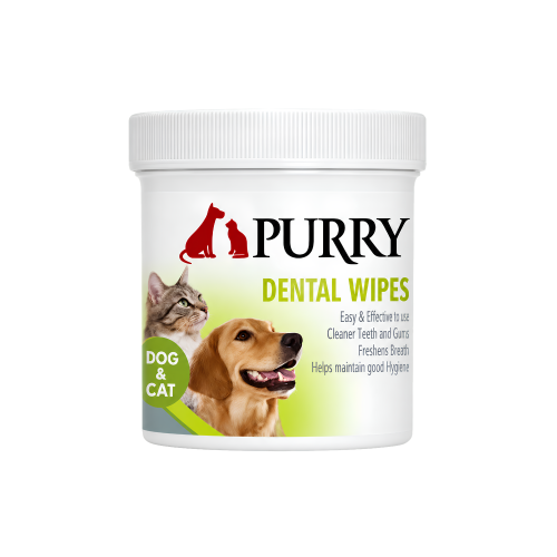 Purry Peppermint Oil Dental Wipes for Cats and Dog...