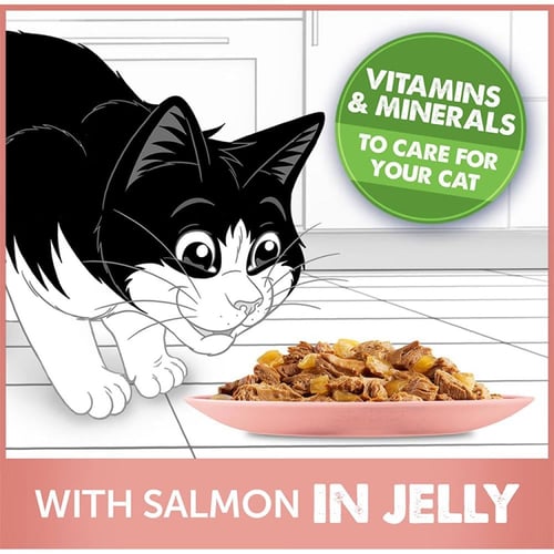 بيورينا فيليكس طعام رطب بالسالمون في الجيلي للقطط...