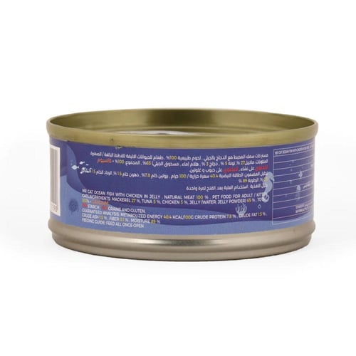 مستر كات طعام رطب للقطط البالغة والصغيرة سمك المحي...