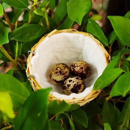 لباد طيور ابيض - قطعة واحدة