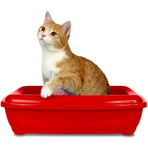 بودرة تدريب القطط لقضاء الحاجة داخل اللتر بوكس من...