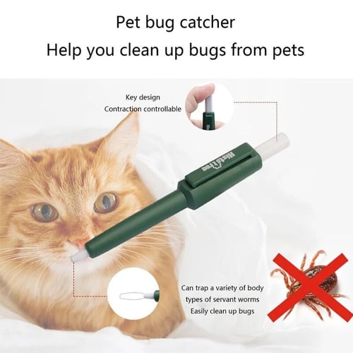 قلم لاصطياد القمل من الحيوانات الأليفة