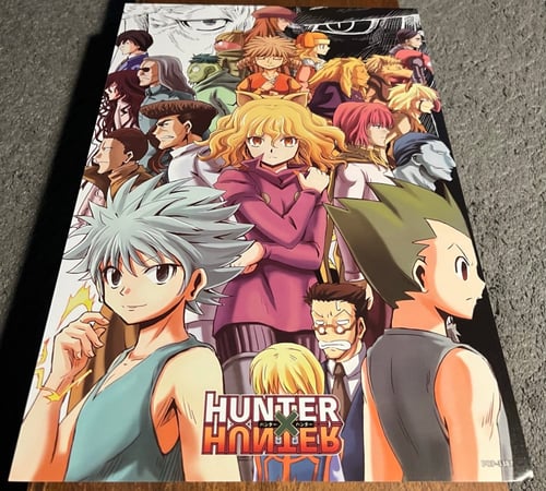 بوسترات هانتر اكس هانتر ( A )