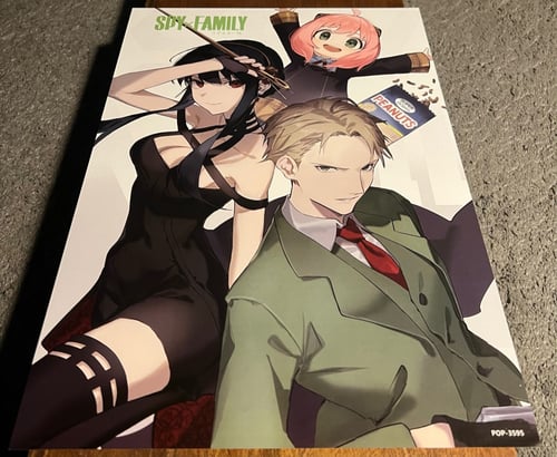 بوسترات سباي اكس فاميلي ( B )