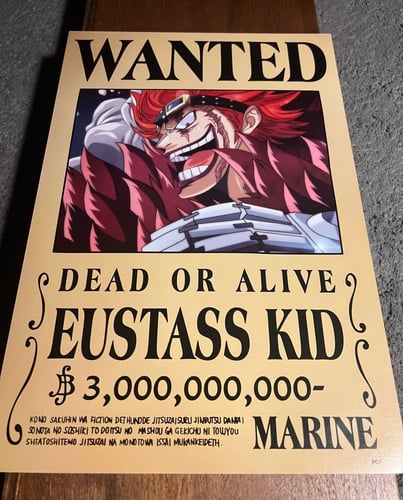 بوسترات ون بيس ( A )