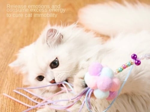 عصى مسلية لقطط