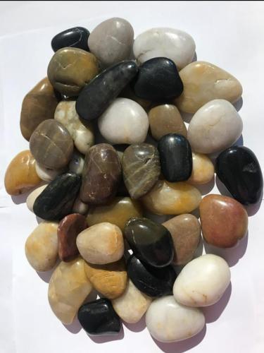 حجر زينة مشكل لمعة 10 كيلو