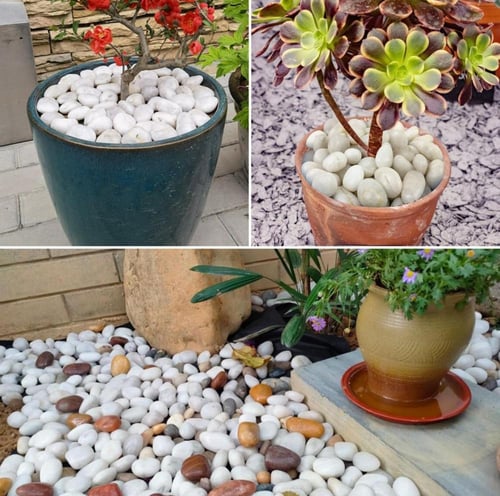 حجر زينة ابيض لمعة 10 كيلو